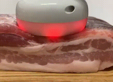 豚バラブロック肉での実験動画