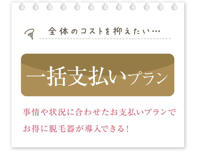 一括支払いプラン