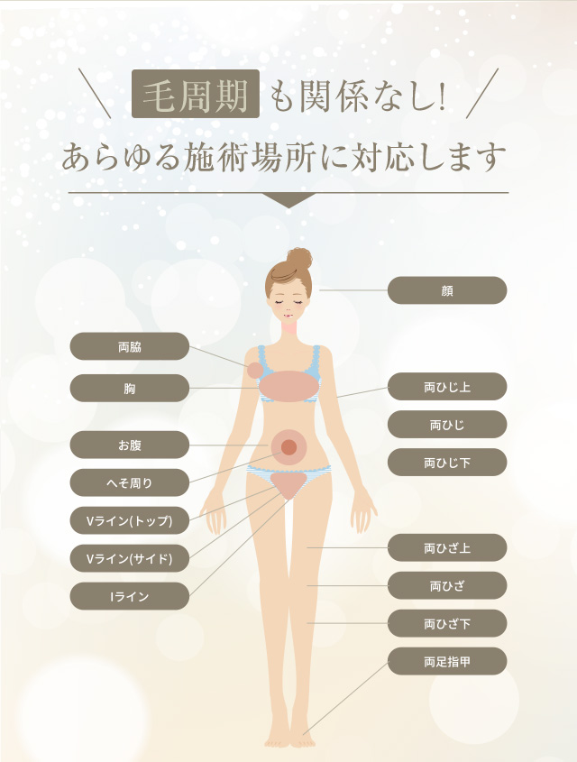 毛周期も関係なし　全身脱毛前面