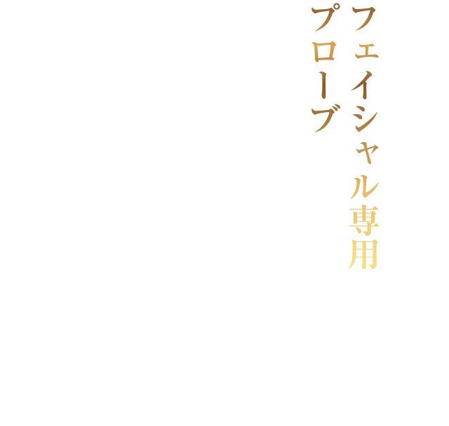 フェイシャル専用プローブ