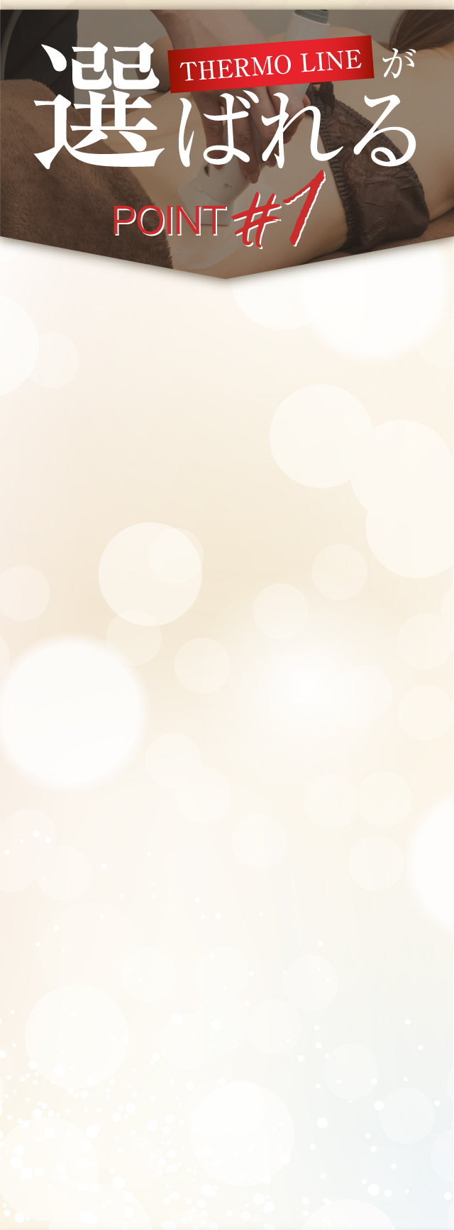 THEMOLINEが選ばれる理由1