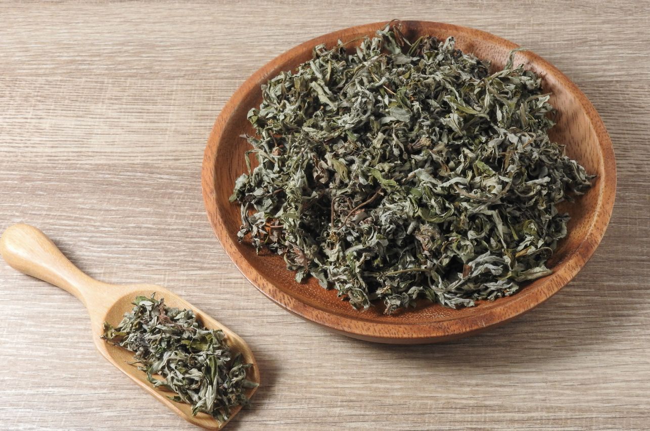 「ただの草」で蒸してない？3年熟成が生む、施術結果を2倍にする“ブースター”の正体